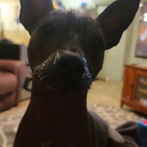 Meet your Posher, Travis